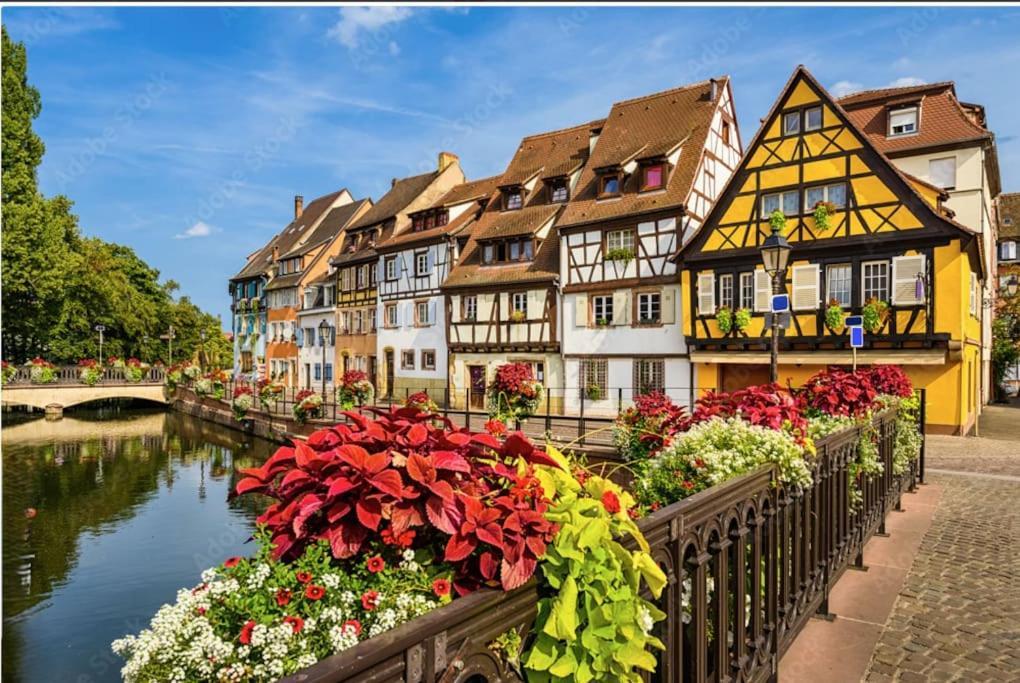 Ferienwohnung Colmar Centre - Le Schickele Exterior foto